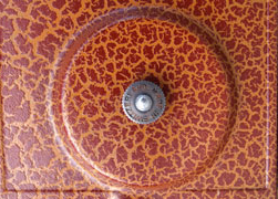 Detail des Geh&auml;uses mit der Schraube zur Befestigung des Plattentellers / Detail of the case and the screw to fix the turntable